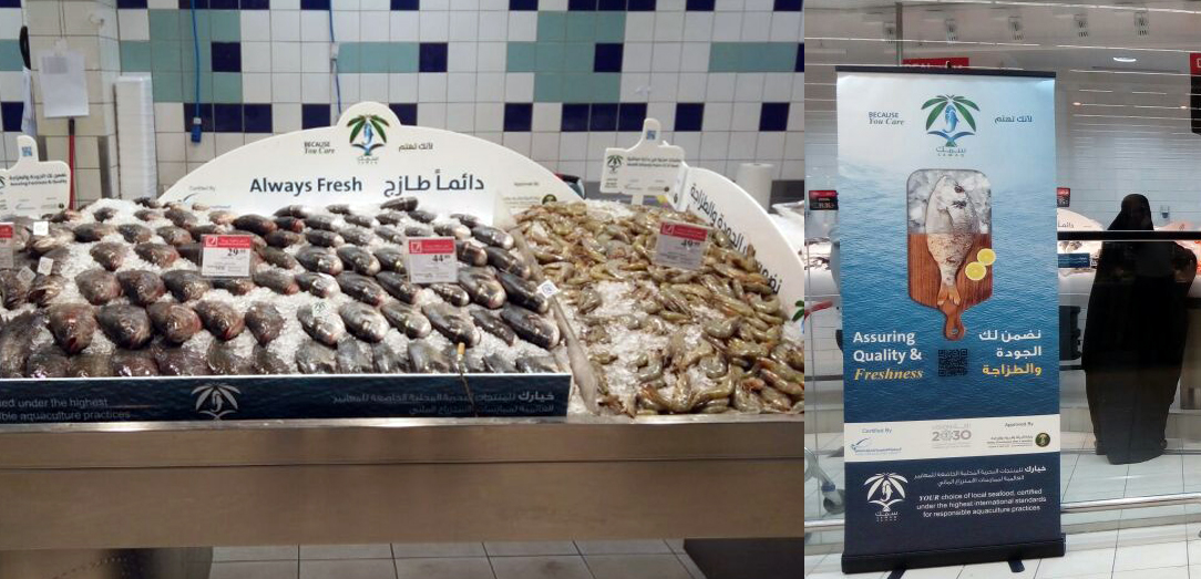 تدشين حملة  " سمك " التي تهدف الى توعية المستهلك و تعزيز استهلاك المأكولات البحرية الصحية